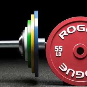 صفحه وزنه روگ ROGUE بهمن استحکام